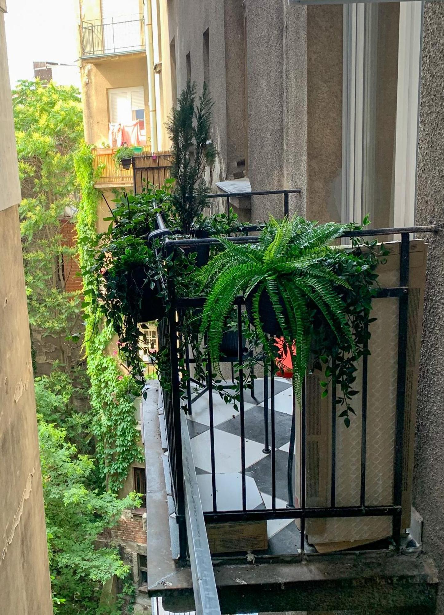 Pop'S Apartments 贝尔格莱德 外观 照片